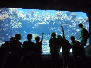 schoolreis burgers zoo