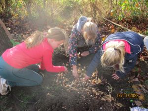 bloembollen 15-11-2022