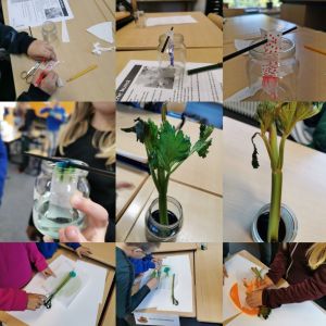 kinderboekenweek