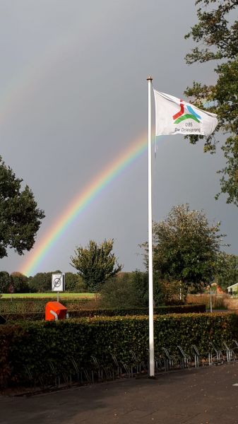 regenboog